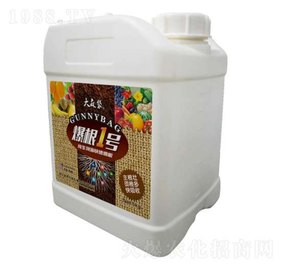 ����1̖-�����-���v�r(n��ng)�I(y��)