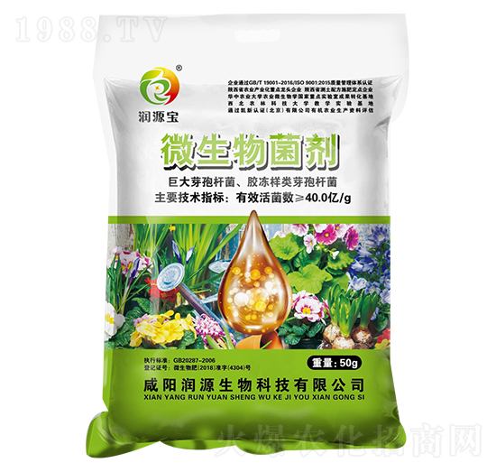 50g΢�������-��Դ��-��Դ����