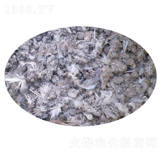 ���ӼS-�f�Z���r(n��ng)�I(y��)