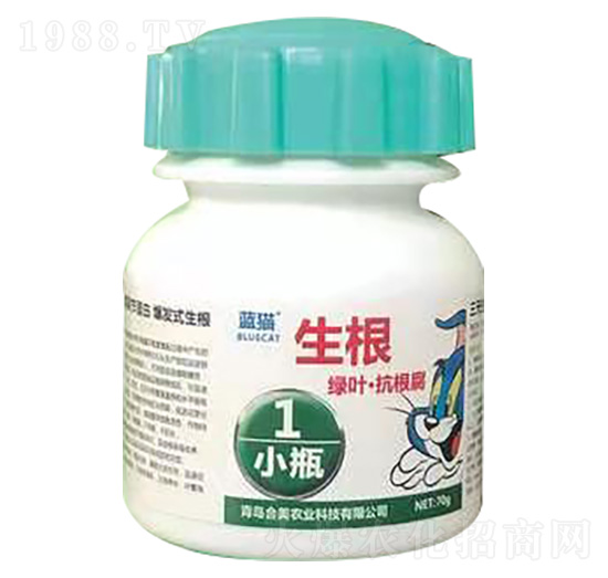 藍(lán)貓葉噴生根一小瓶-合美農(nóng)業(yè)