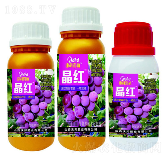 ���t �ְ�ʘI(y��)