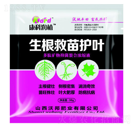 ���������o(h��)�~ �ְ�ʘI(y��)