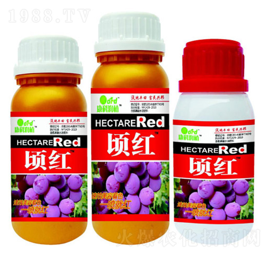 핼t �ְ�ʘI(y��)