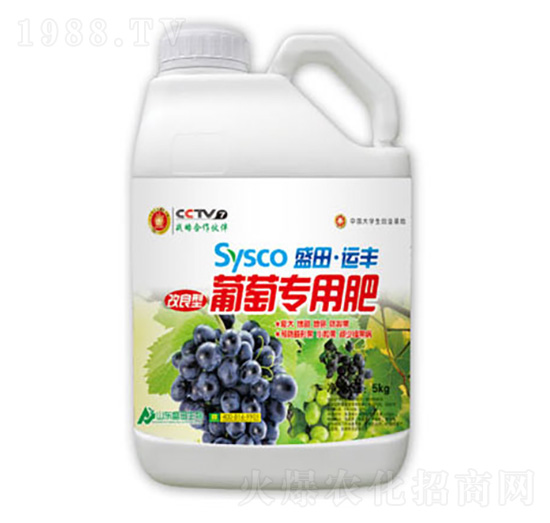 ���������ь�(zhu��n)�÷�-ʢ������