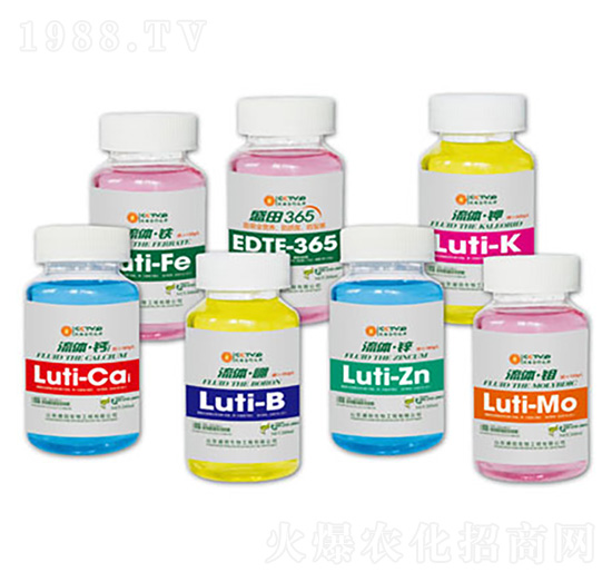 ���w΢��-ʢ������