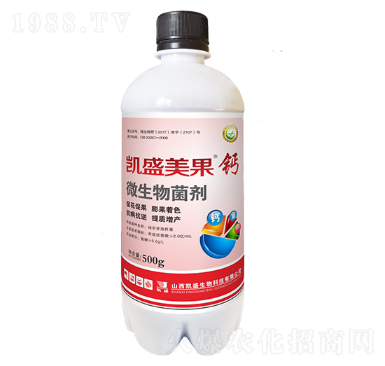 �������}-�Pʢ�ʘI(y��)