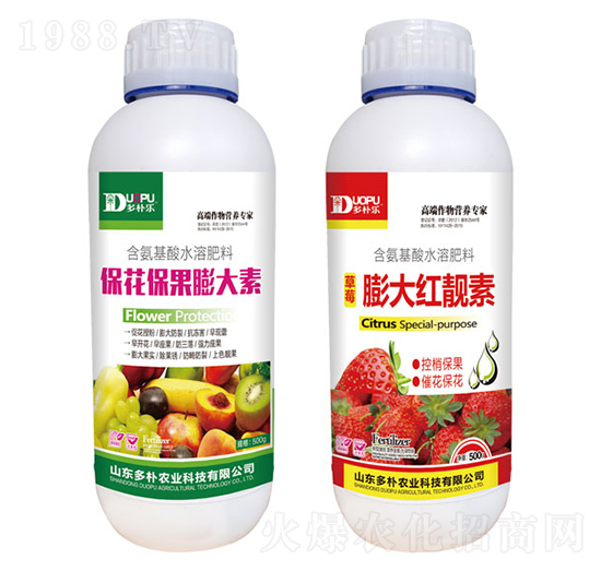 �������������+���t�n��-�����Ƽ�