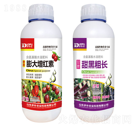 ������t��+��ڴ��L(zh��ng)-�����Ƽ�