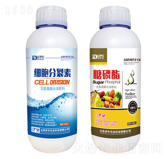 ����������+������-�����Ƽ�