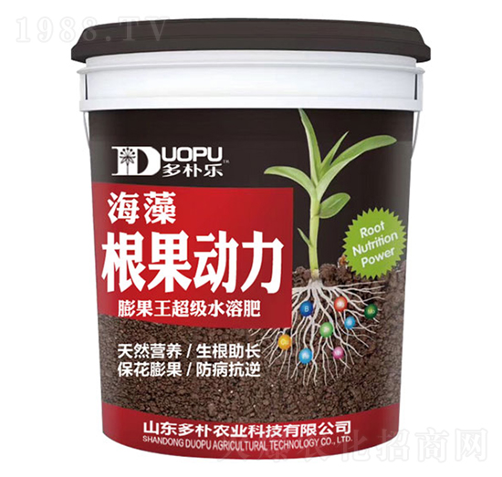 ������(d��ng)��-�����Ƽ�