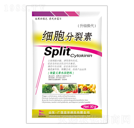 ��(x��)��������-�����Ƽ�