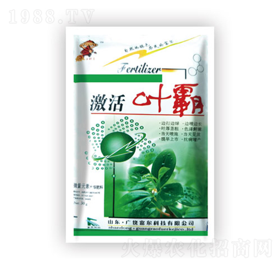 �~��-�����Ƽ�