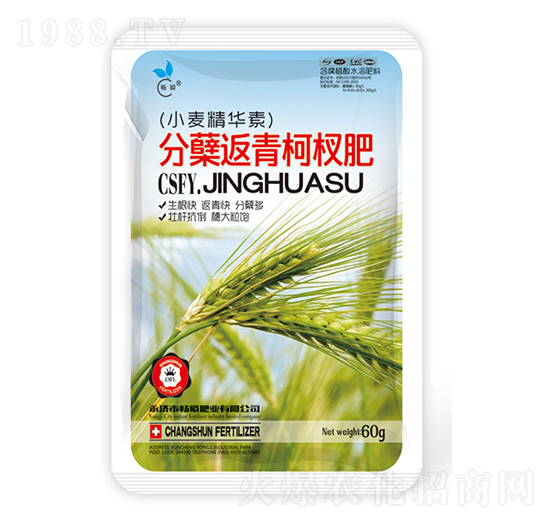 С�����Y�����辷�-��˲