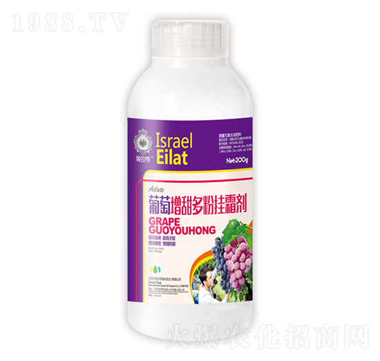 ���������ے�˪��-��˲