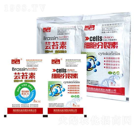 �|̦��+��(x��)��������-�������r(n��ng)