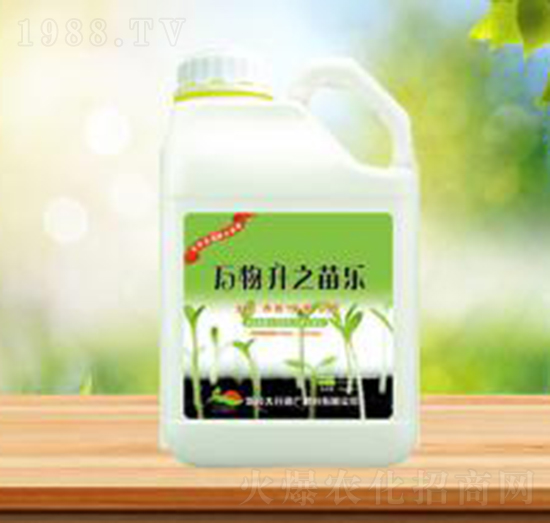 �f����֮�瘷-ʢ�A�r�I(y��)