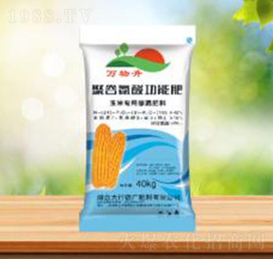 ���׌��þ۹Ȱ��Ṧ�ܷ�-ʢ�A�r(n��ng)�I(y��)