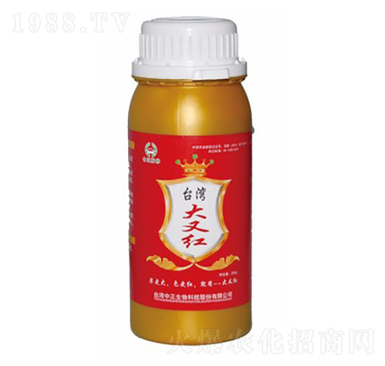 �_�����ּt-���A��