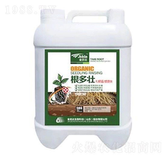 ������-���_