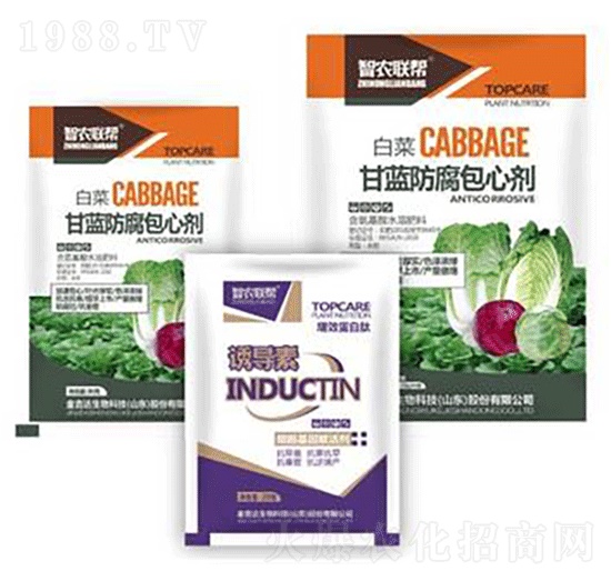 ���{(l��n)�������Ą�-���_(d��)