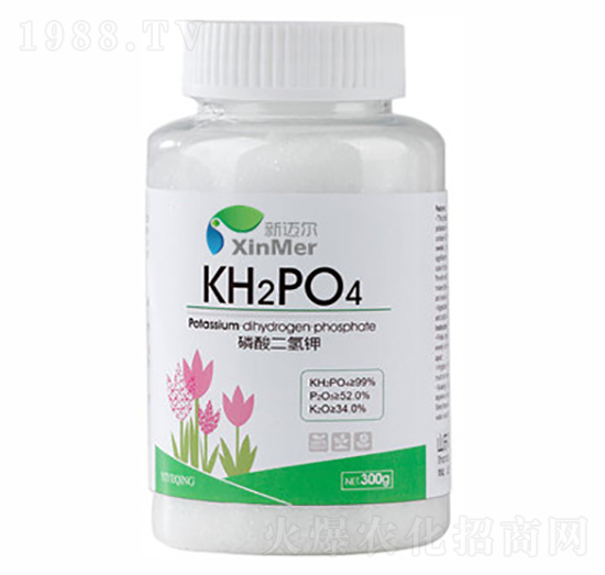 ��������-���~��