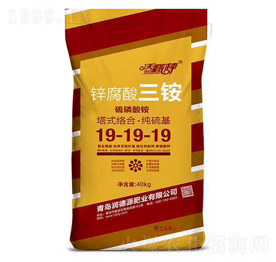 �\�������@19-19-19-�����-��(r��n)��Դ�ʘI(y��)