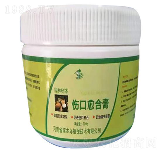 �������ϸ�-��ľ�B