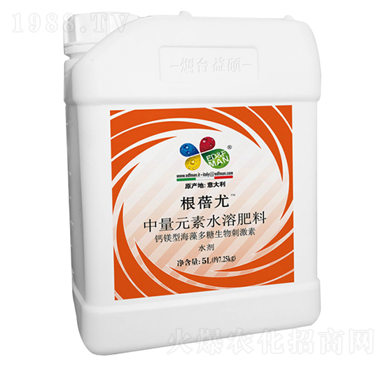 �}�V�ͺ����������̼���-������-��T����