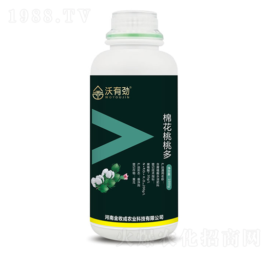 �޻����Ҷ�-���Є�-���ճ�