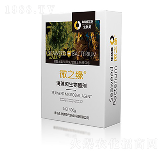 ����΢�������-΢֮�����У�-������