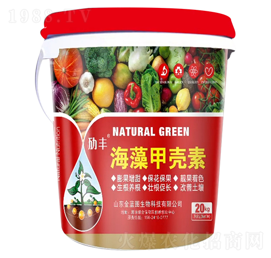 ����ך���-���{�D����