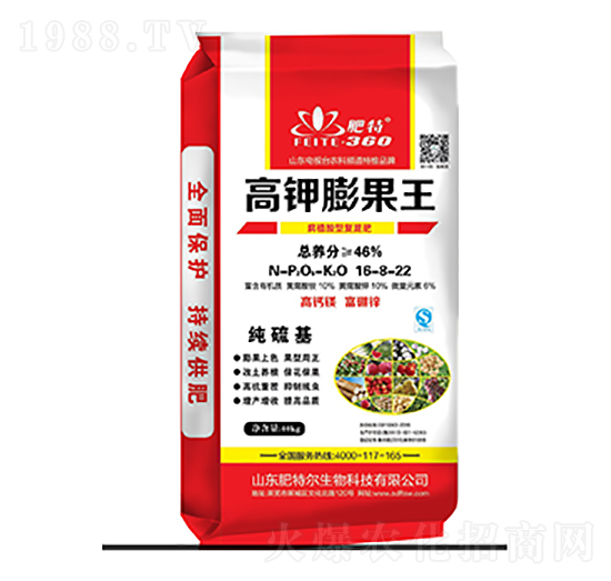 ��ֲ���͏�(f��)���16-8-22-��������-���ؠ�