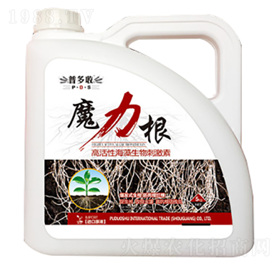 �߻��Ժ�������̼���-ħ����-�ն���