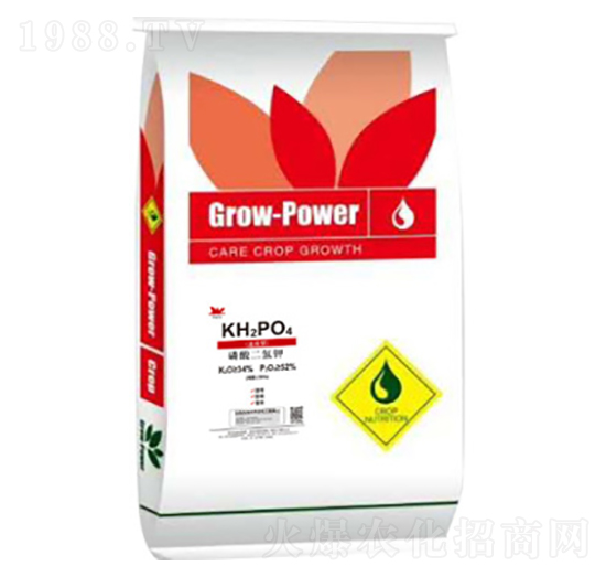 ��������-�ն���