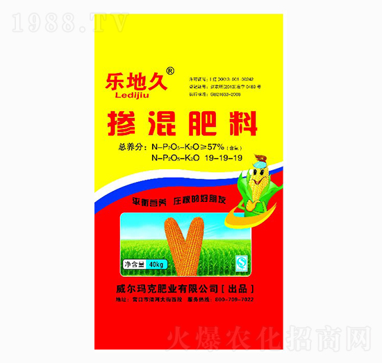 �������19-19-19-���ؾ�-��������