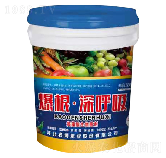 �������������-�����������-�r���ʘI(y��)