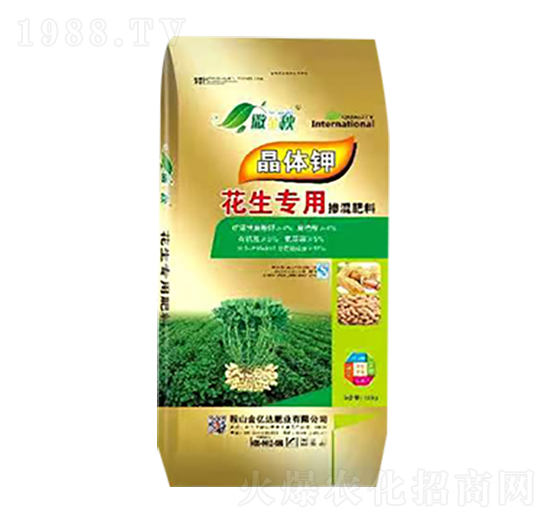 �������Ó������-������-���|�_�ʘI(y��)