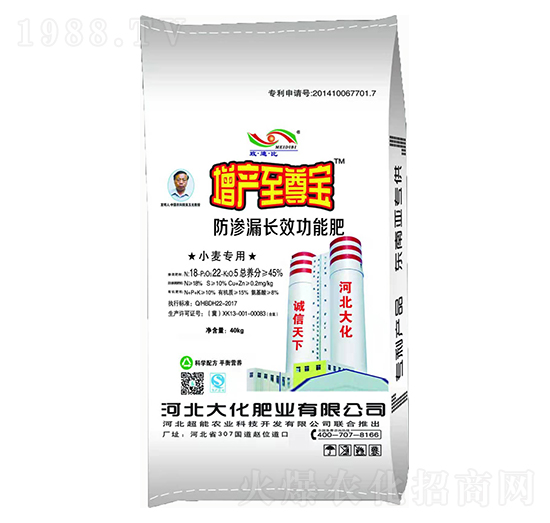 小麥專用防滲漏長效功能肥-增產寶-大化肥業(yè)