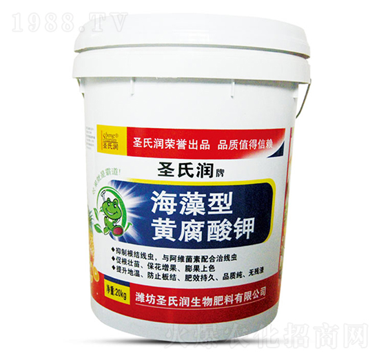 �������S�����-ʥ�ϝ�(r��n)