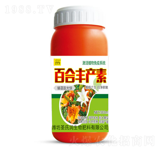 �ٺ��S�a��-ʥ�ϝ�