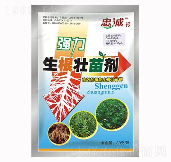 �������焩-�����r