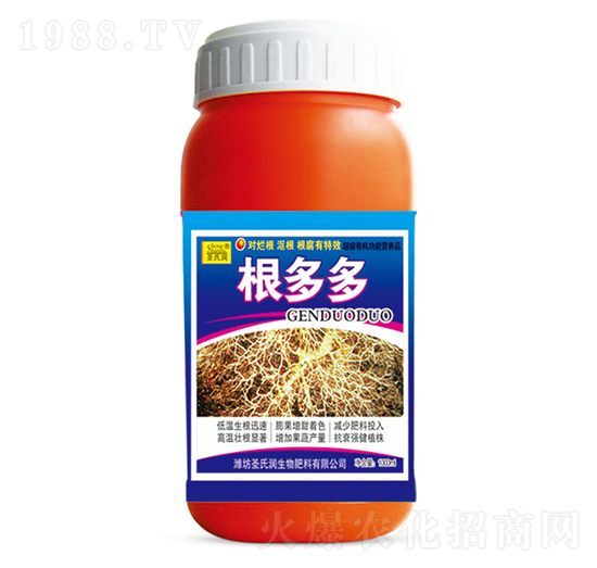 �����-ʥ�ϝ�