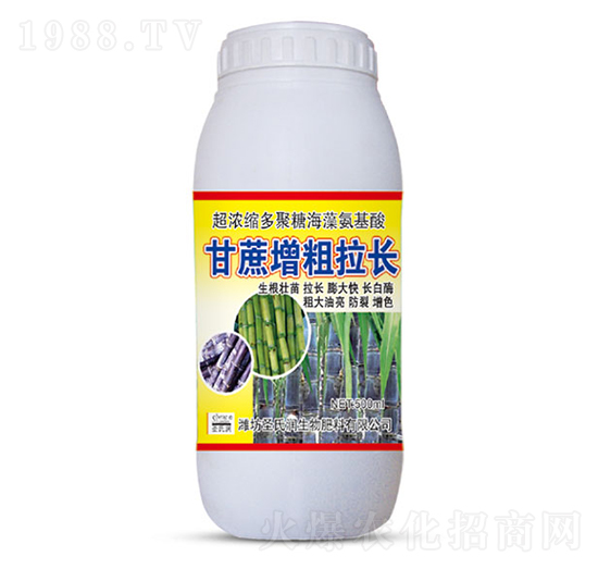 500ml�����������L-ʥ�ϝ�