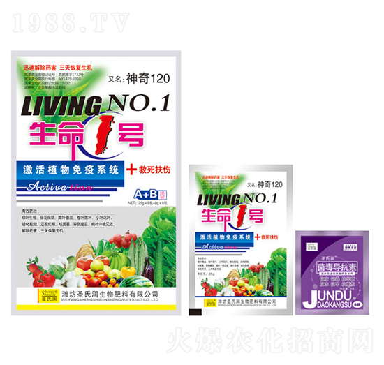 生命1號A+B-圣氏潤