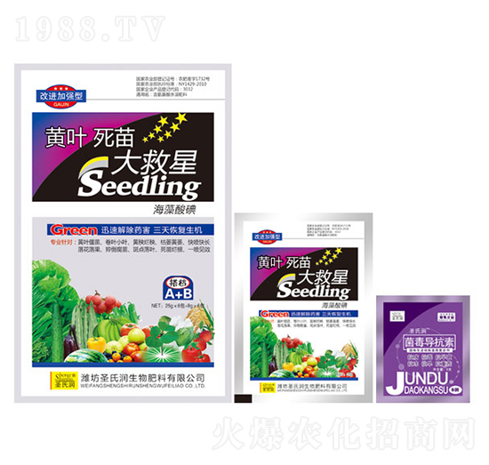 黃葉死苗大救星-圣氏潤(rùn)