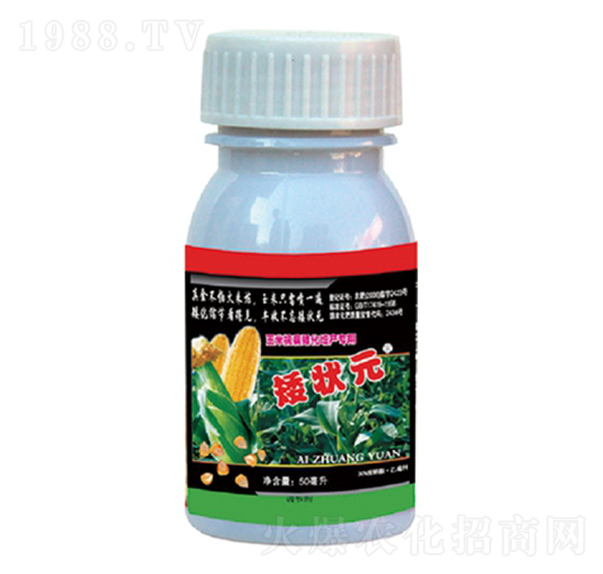 ���׿����������a(ch��n)����-����Ԫ-��������