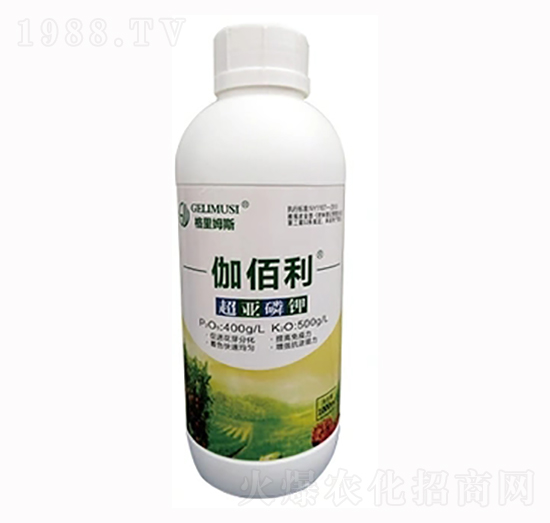 �������-٤����-���r(n��ng)����