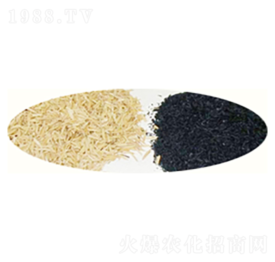 ������������̿-ԣ����Դ