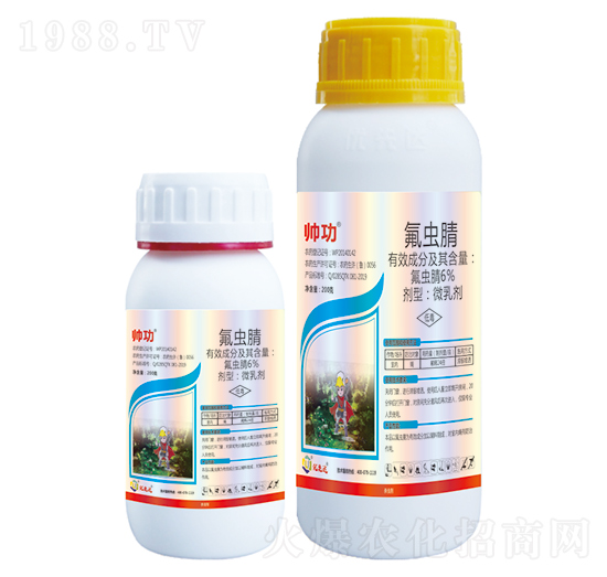 6%���x��-����-��(y��u)���_(d��)