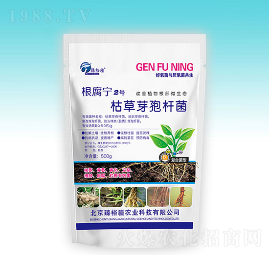 �ݲ�ѿ�ߗU��-������2̖-��ԣ��